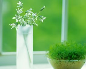 性格脾氣好不好，看了這個就知道——蔬菜的隱藏密碼