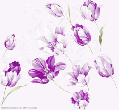 歐式卷草紋在苗木設計中的應用與素材選擇