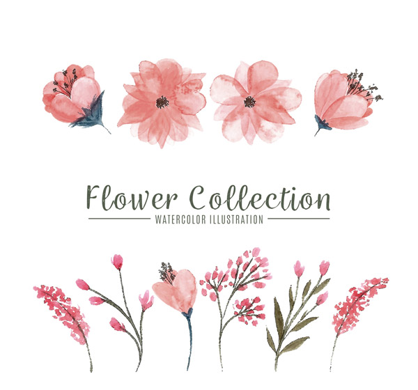 水彩繪粉色花卉 苗木 細膩筆觸下的自然之美