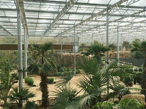 智慧農業新篇章 青州瀚洋農業引領智能溫室產業，賦能蔬菜生產現代化